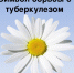 Всемирный день борьбы с туберкулезом. - Агропромышленный техникум